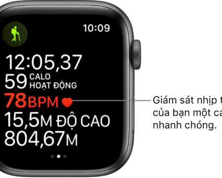 Hướng dẫn cách xem lịch sử ghi chép nhịp tim trên Apple Watch