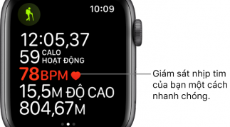 Hướng dẫn cách xem lịch sử ghi chép nhịp tim trên Apple Watch