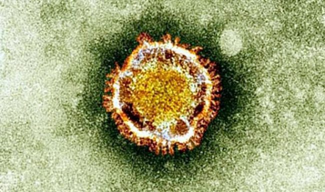 Coronavirus: Những chuyên gia hàng đầu sẽ đưa ra cách phòng ngừa, điều trị chuẩn xác