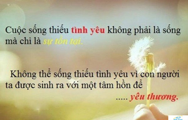 Top Danh Ngon Hay Nhat Moi Thoi Dai Cho Nguoi Moi Biet Yeu Lan Dau