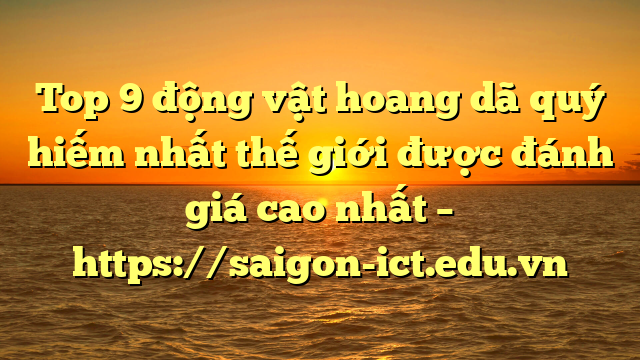 Top 9 Động Vật Hoang Dã Quý Hiếm Nhất Thế Giới Được Đánh Giá Cao Nhất – Https://Saigon-Ict.edu.vn