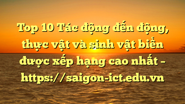 Top 10 Tác Động Đến Động, Thực Vật Và Sinh Vật Biển Được Xếp Hạng Cao Nhất – Https://Saigon-Ict.edu.vn