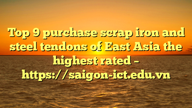 Top 9 Purchase Scrap Iron And Steel Tendons Of East Asia The Highest Rated – Https://Saigon-Ict.edu.vn
