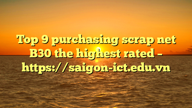 Top 9 Purchasing Scrap Net B30 The Highest Rated – Https://Saigon-Ict.edu.vn