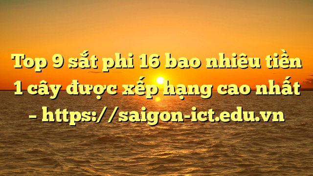 Top 9 Sắt Phi 16 Bao Nhiêu Tiền 1 Cây Được Xếp Hạng Cao Nhất – Https://Saigon-Ict.edu.vn