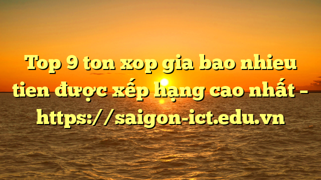Top 9 Ton Xop Gia Bao Nhieu Tien Được Xếp Hạng Cao Nhất – Https://Saigon-Ict.edu.vn